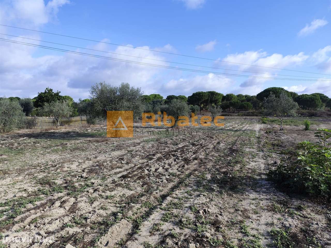 Terreno na Branca - Grande imagem: 2/5