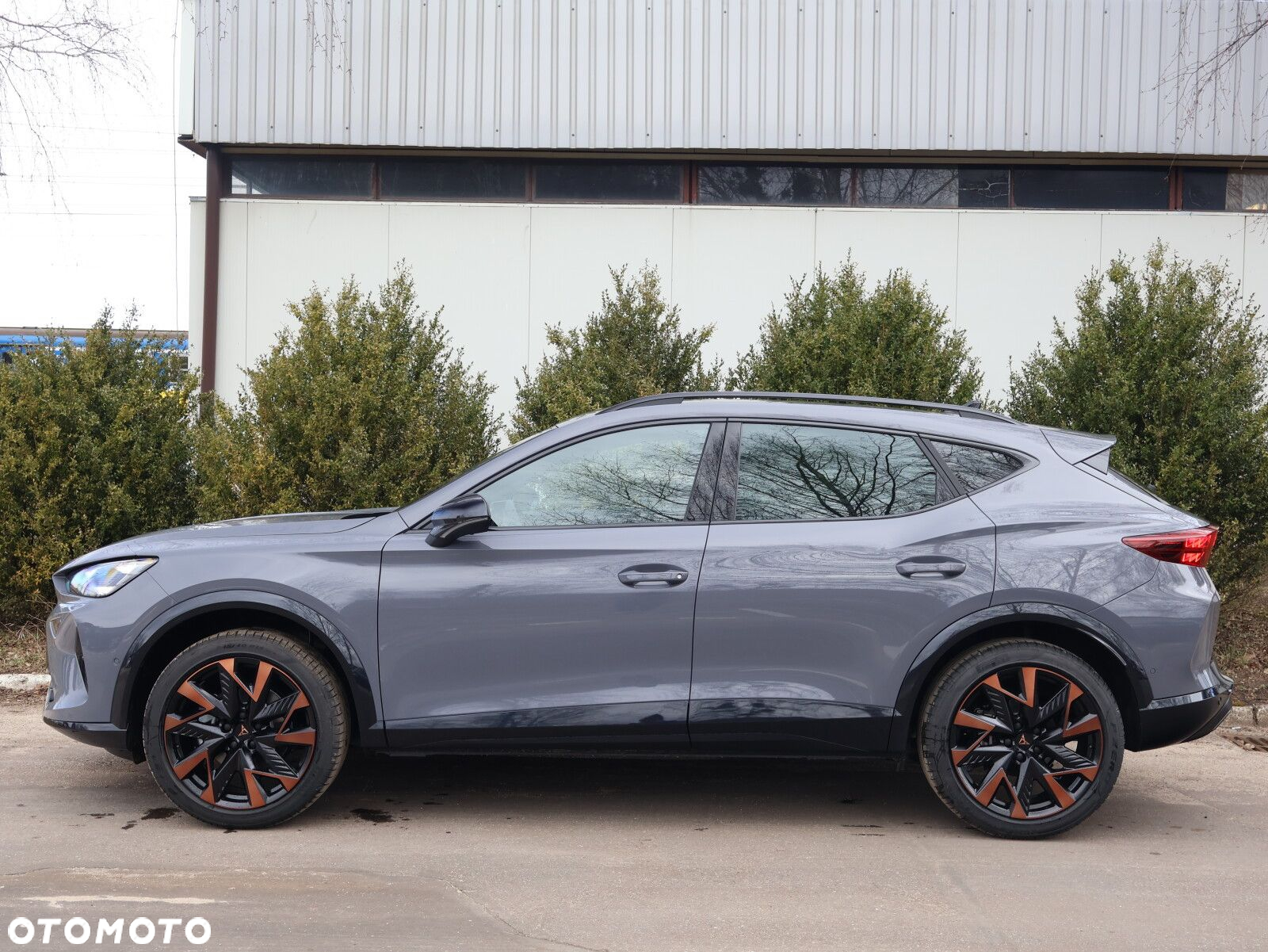 Cupra Formentor 1.5 eTSI mHEV DSG - 6