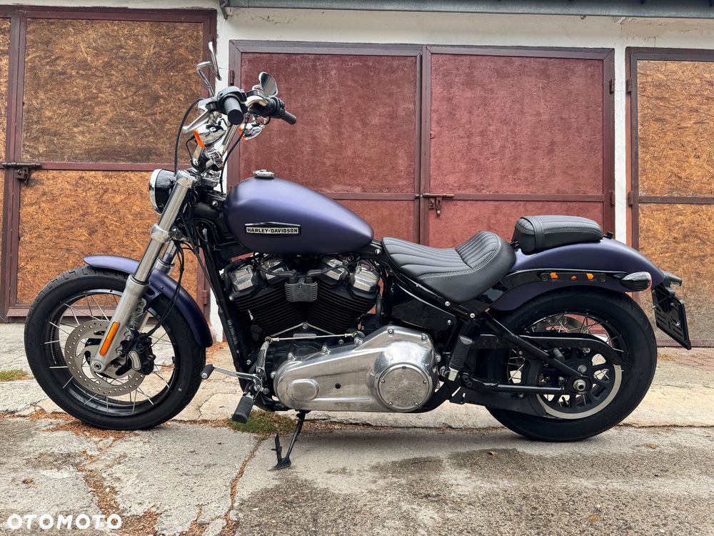 Harley-Davidson Softail Standard - 3