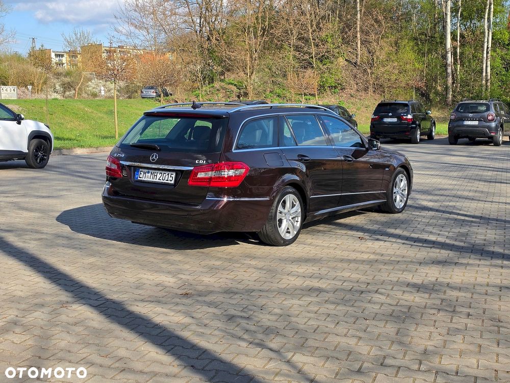 Mercedes-Benz Klasa E 250 CDI DPF BlueEFFICIENCY Avantgarde - 7