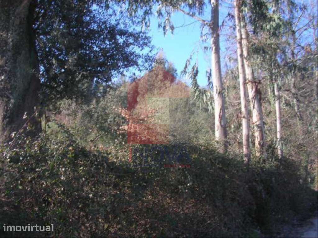 Vende-se Terreno, Moure - Grande imagem: 3/5