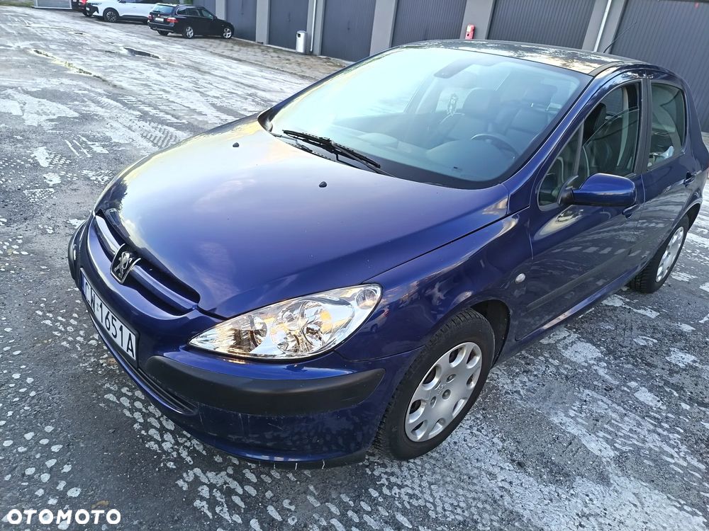 Peugeot 307 1.6 Mistral - 1