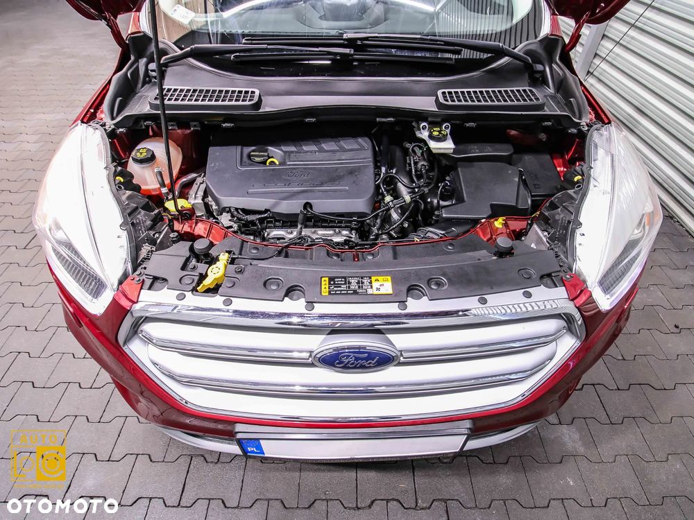 Ford Kuga 1.5 EcoBoost 2x4 Titanium - 15