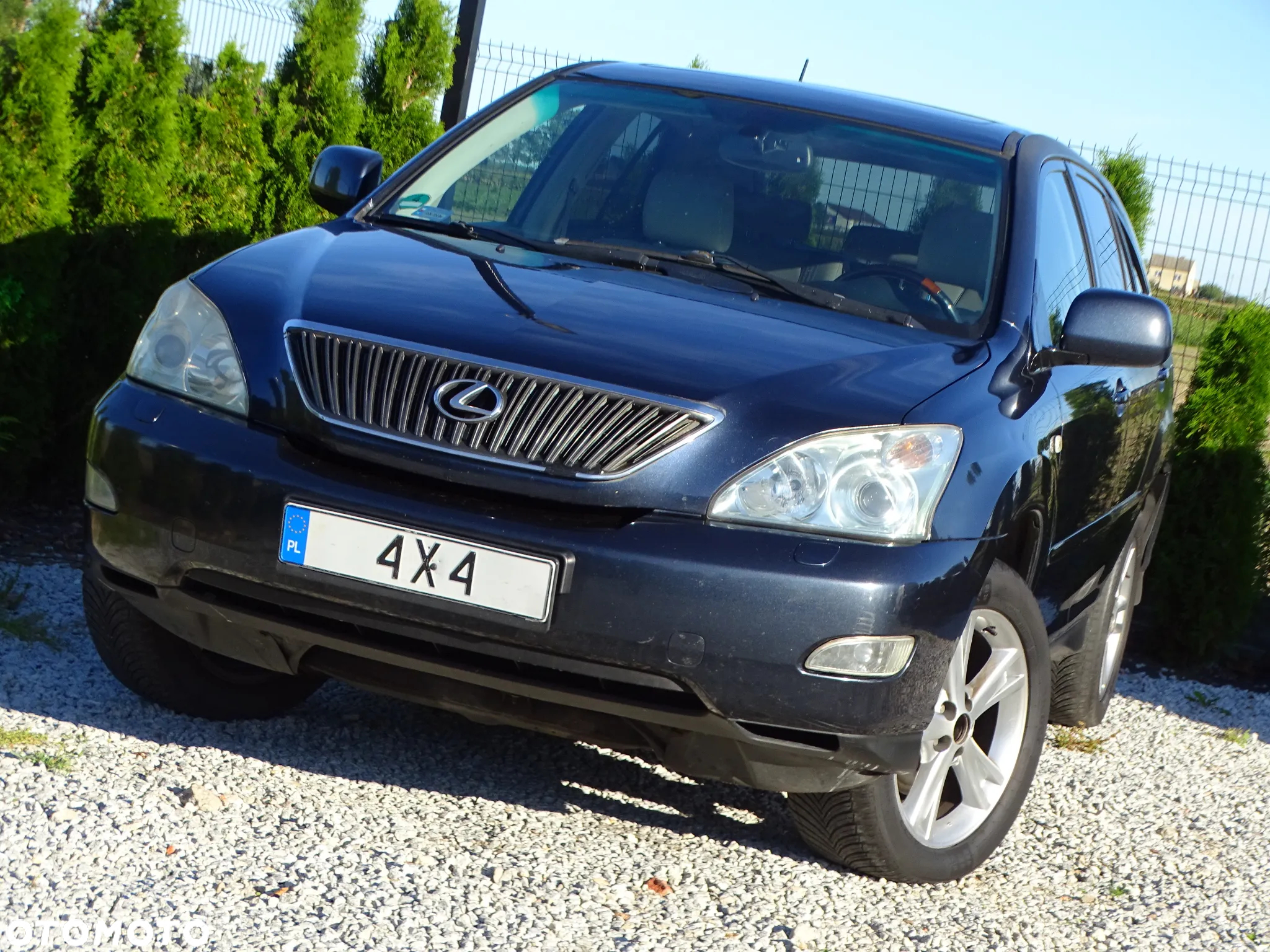 Lexus RX 300 Lux - 37