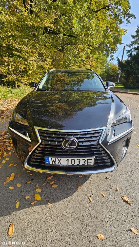Lexus NX 300 Elegance Optimum AWD - 6