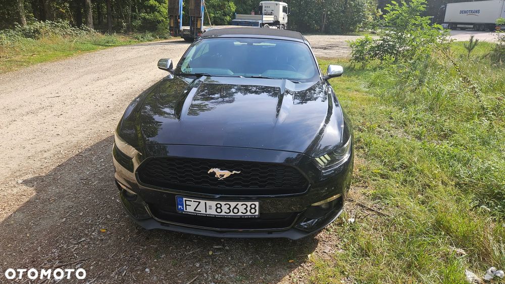 Ford Mustang - 1