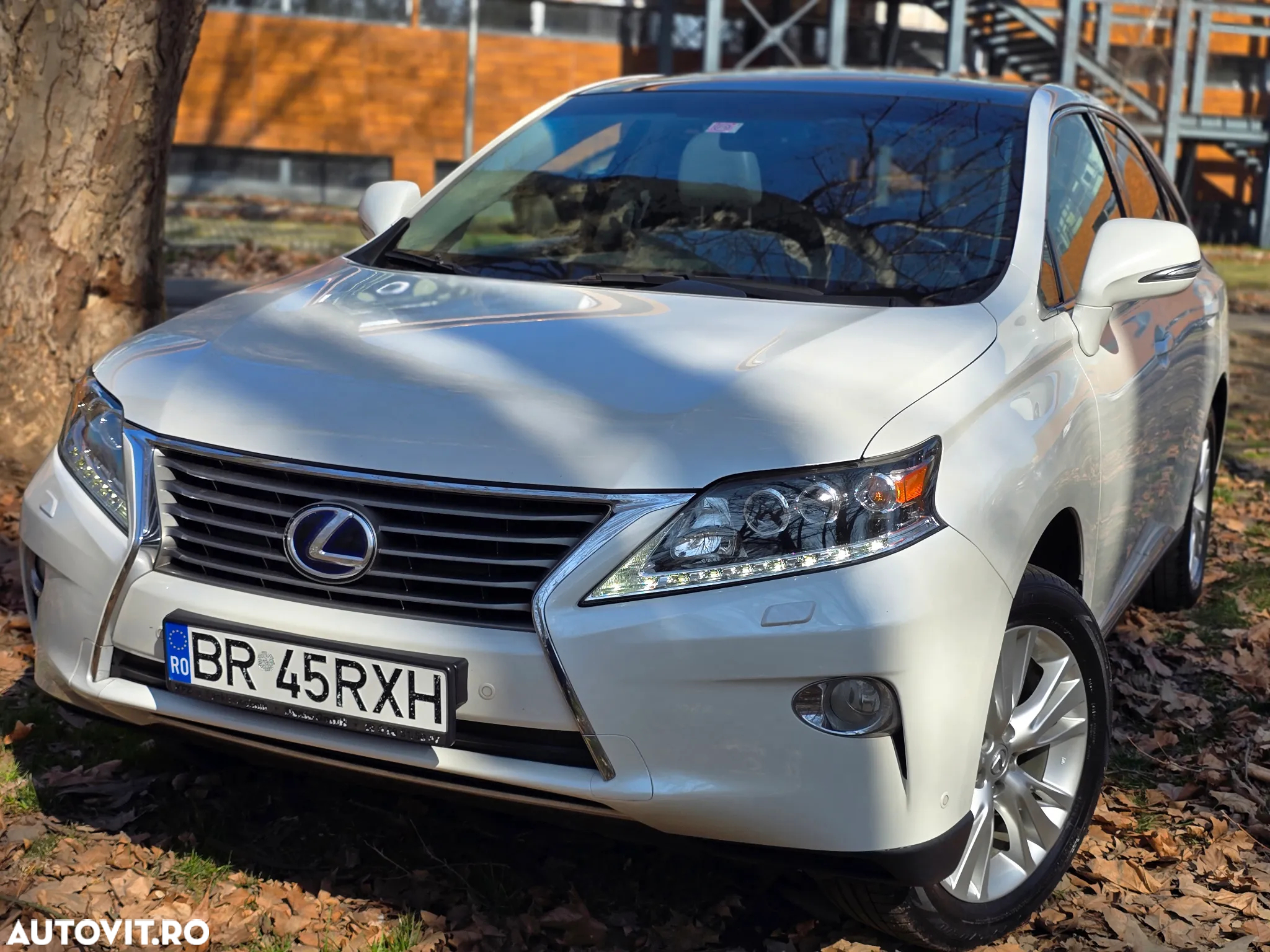 Lexus Seria RX 450h (hybrid) Executive Line - 2