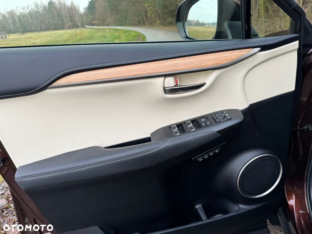 Lexus NX 300h F Impression AWD - 14