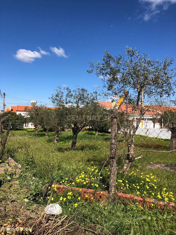 Terreno Urbano  em Ermidas do Sado - Grande imagem: 3/5