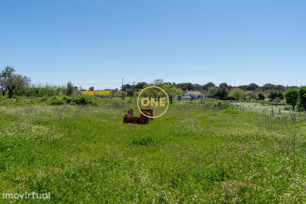 Terreno Urbano Ponte de Sor - Grande imagem: 4/20