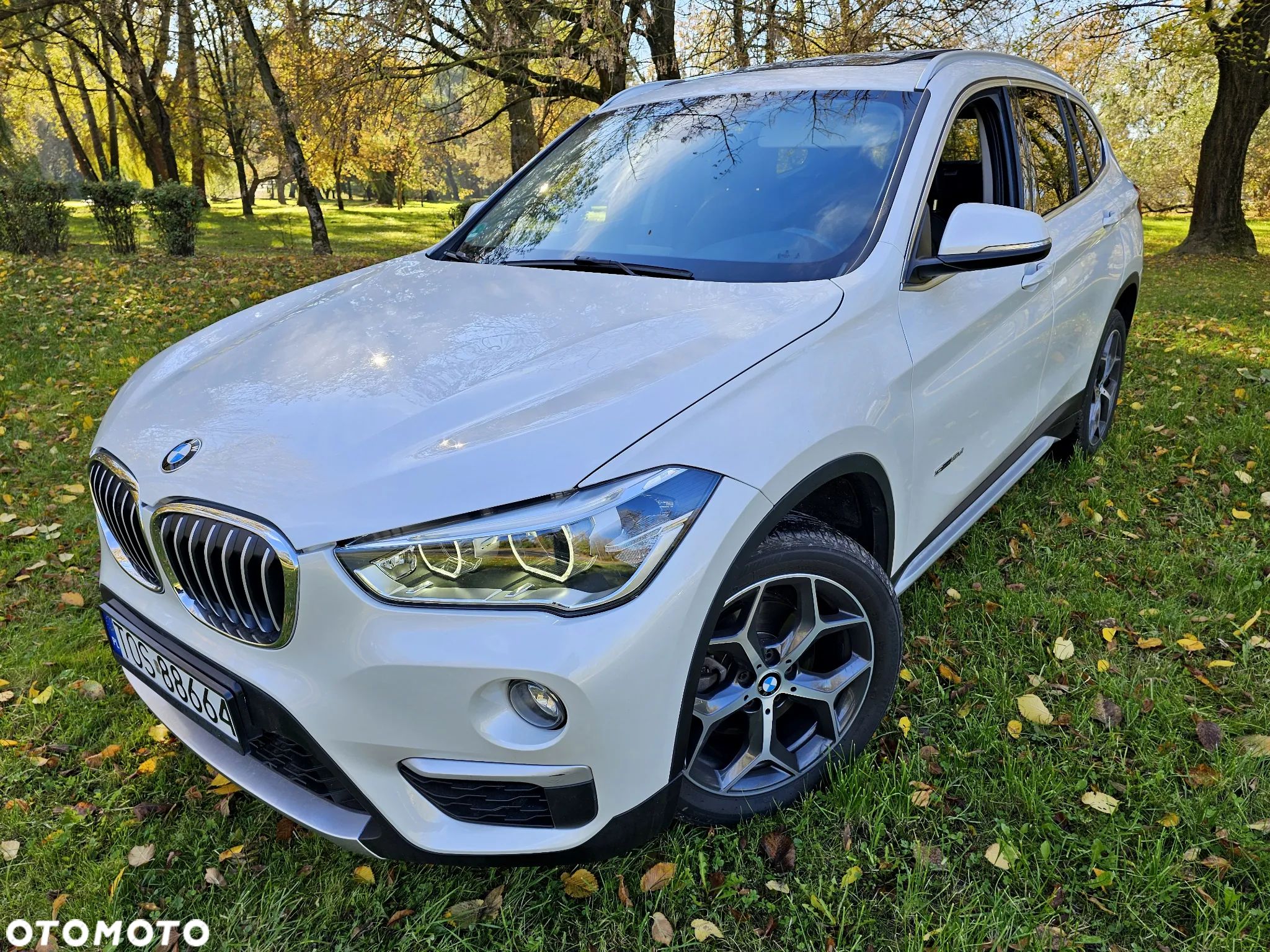 BMW X1 sDrive18d xLine - 1