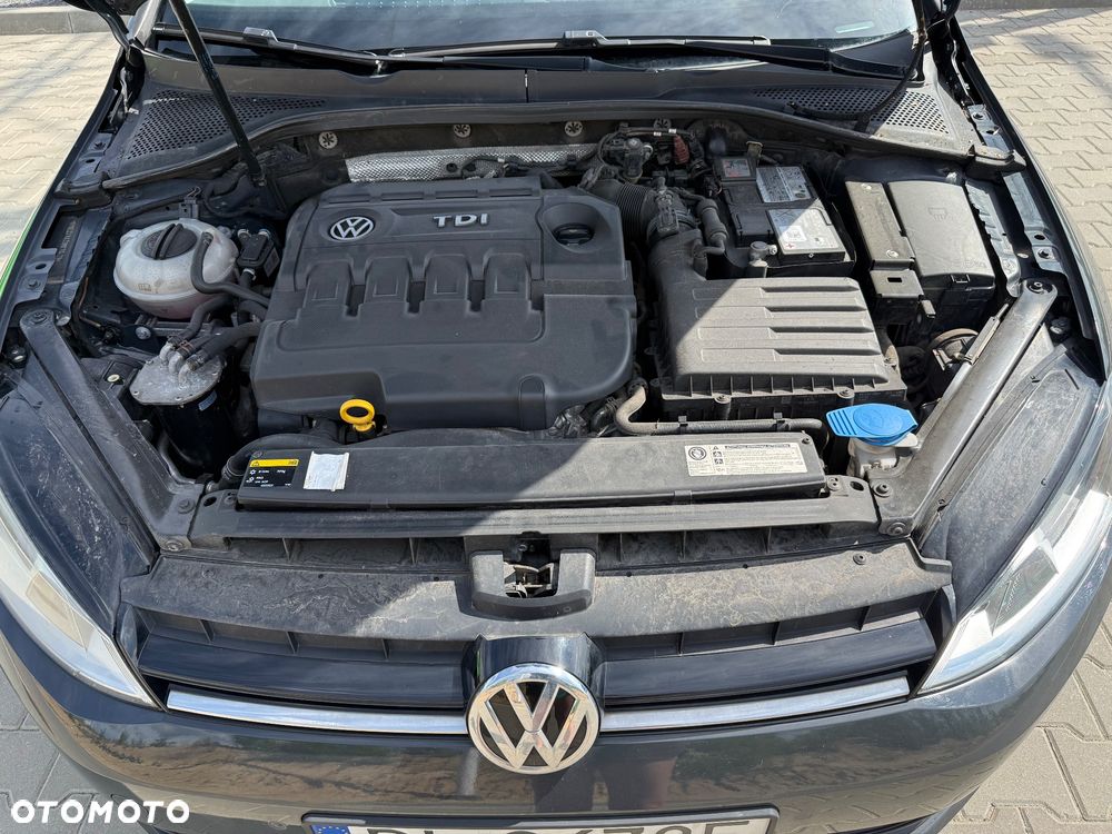 Volkswagen Golf 1.6 TDI BMT Trendline EU6 - 18
