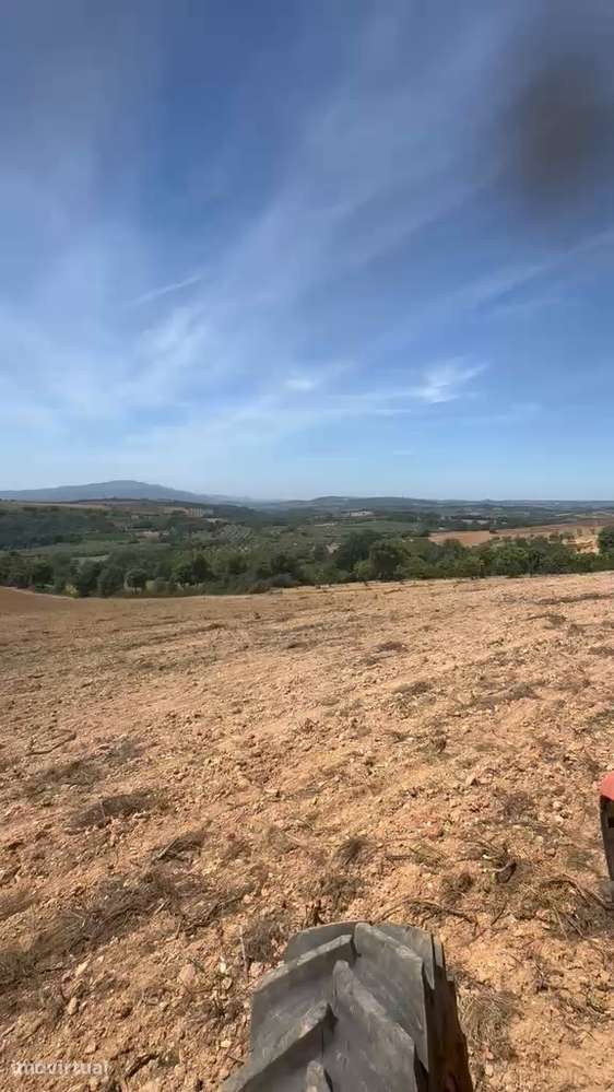 Terreno de cultivo com 600.00 m2 em M. de Cavaleiros. - Grande imagem: 2/9