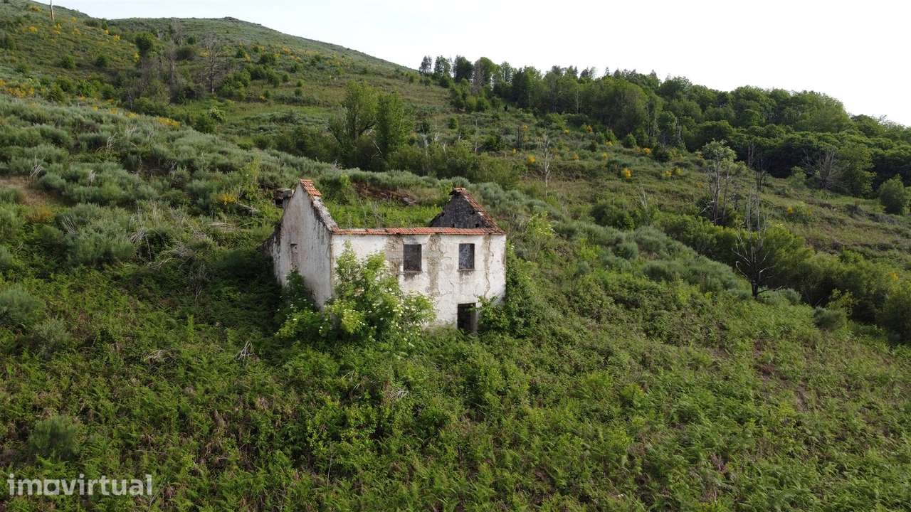 Quinta T0 Venda em Figueiró da Serra e Freixo da Serra,Gouveia - Grande imagem: 2/9