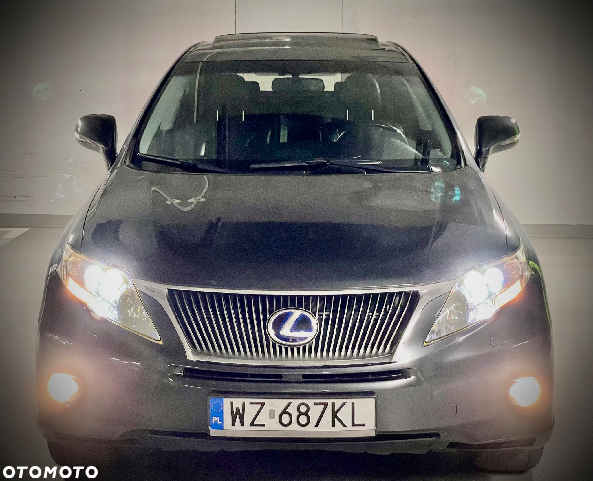 Lexus RX 450h (hybrid) Luxury Line - 22