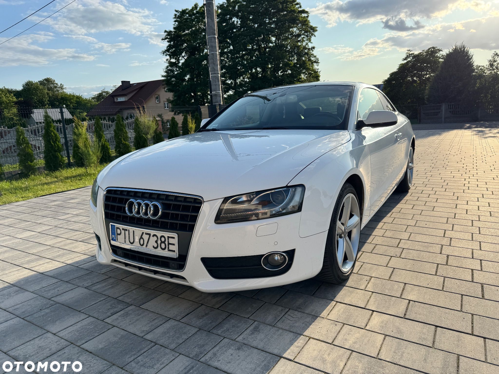 Audi A5 2.0 TDI DPF - 1