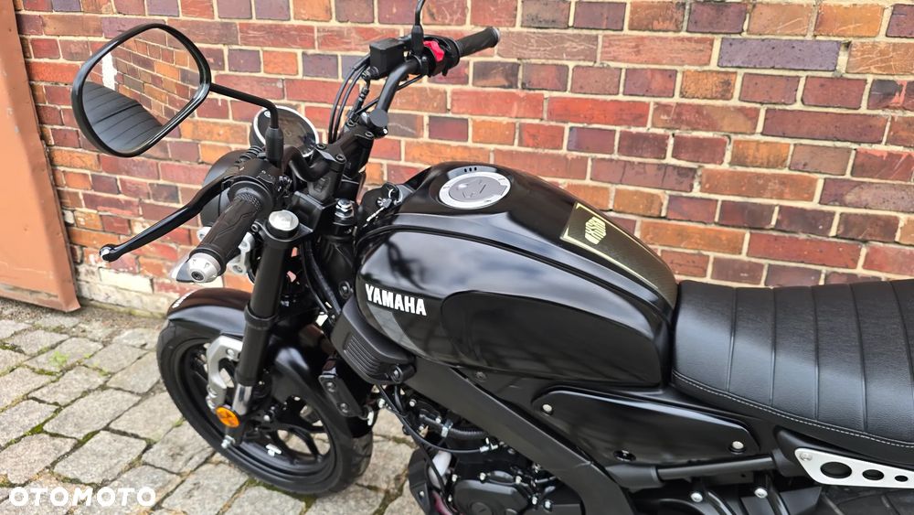 Yamaha XSR - 8