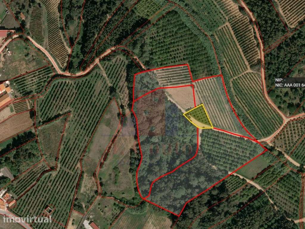 Terreno Rústico com 960 m² em Sancheira Pequena, Óbidos - Grande imagem: 2/8
