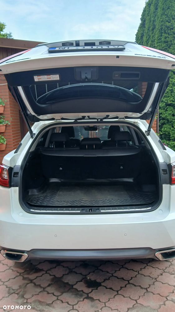 Lexus RX 200t / 300 Elegance - 14