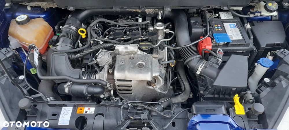 Ford B-MAX 1.0 EcoBoost COOL&CONNECT - 5