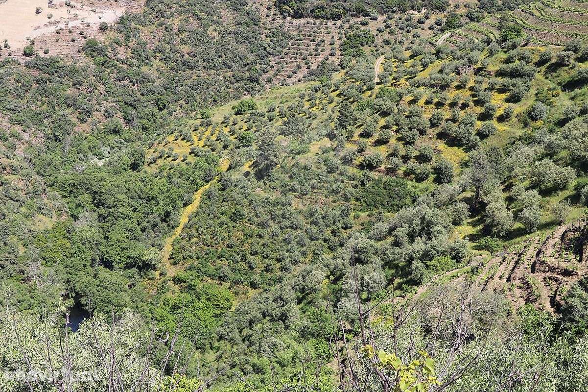 Terreno  para venda - Grande imagem: 3/17