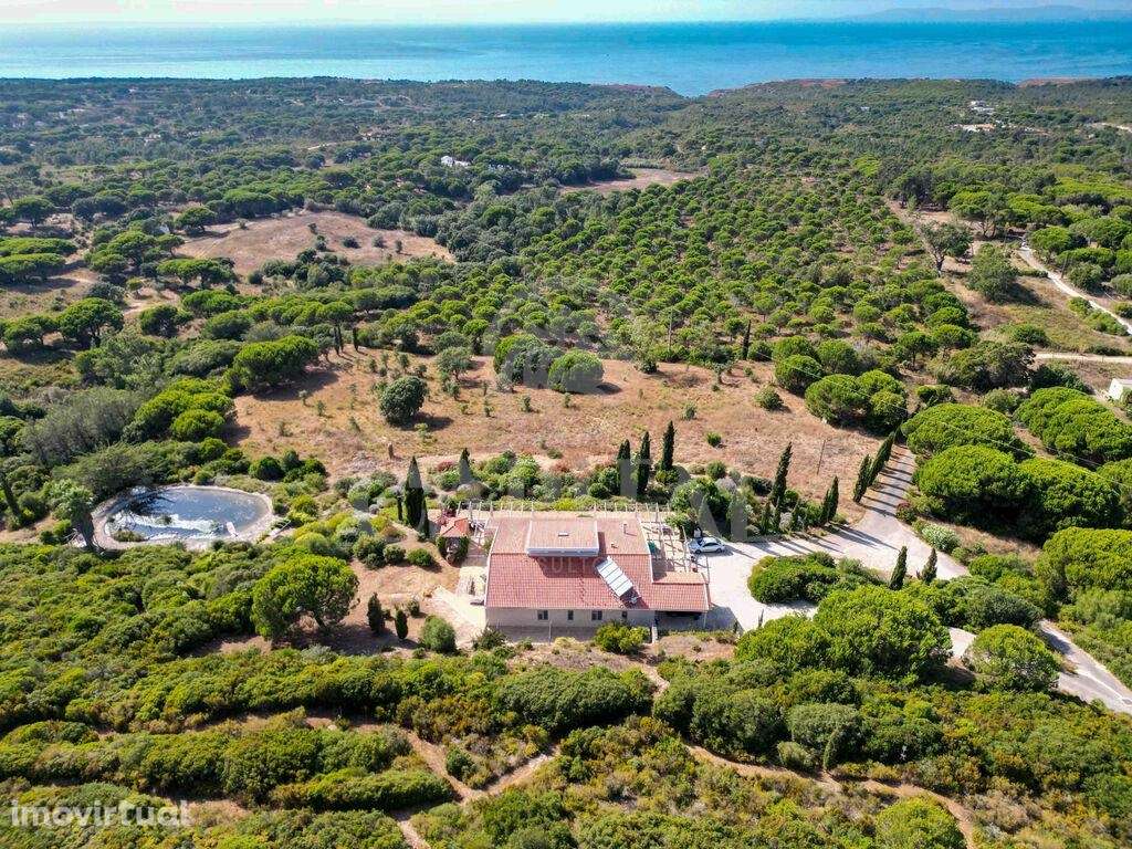 Venda Moradia - Grande imagem: 4/60