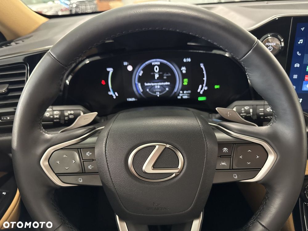Lexus NX - 20