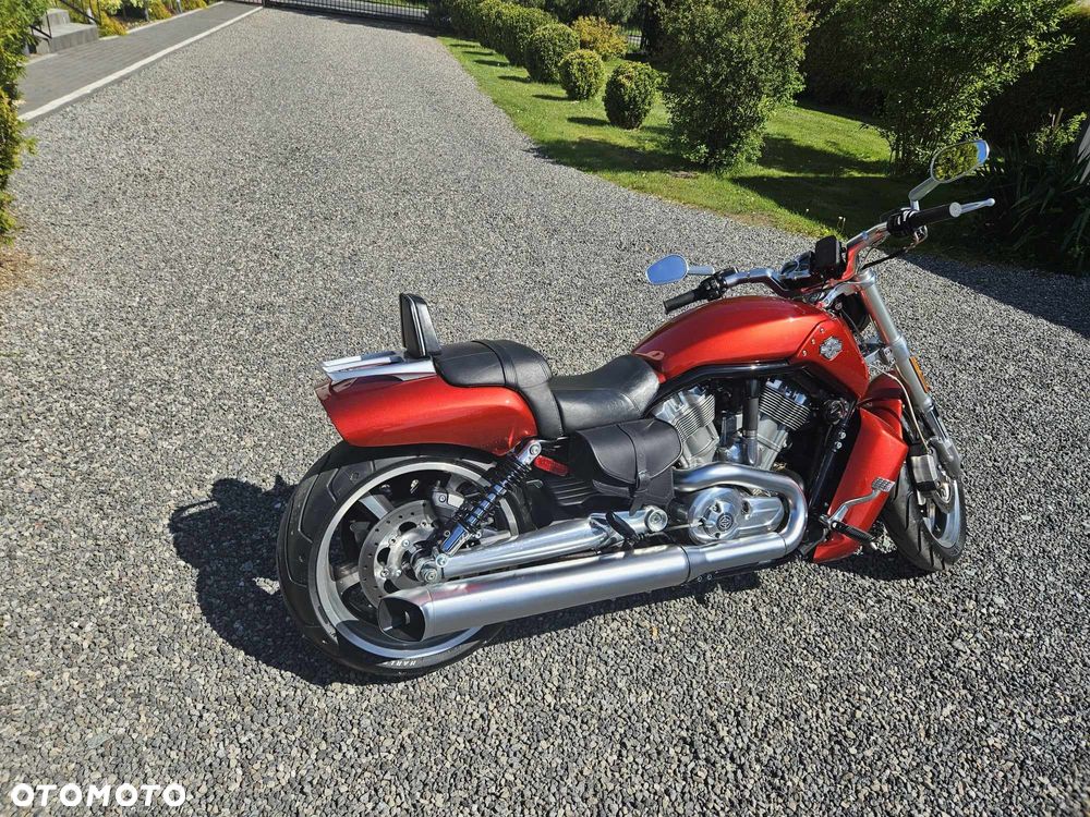 Harley-Davidson V-Rod Muscle - 4