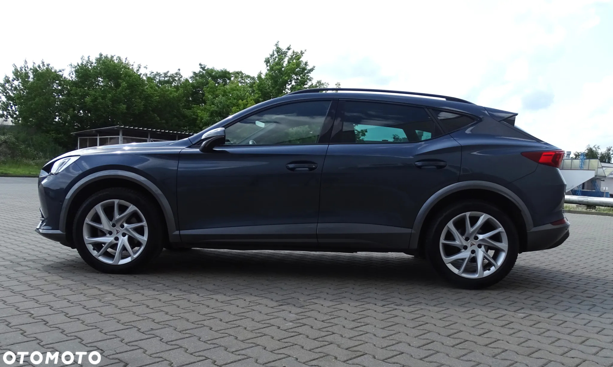 Cupra Formentor 1.5 TSI DSG Tribe Edition - 6