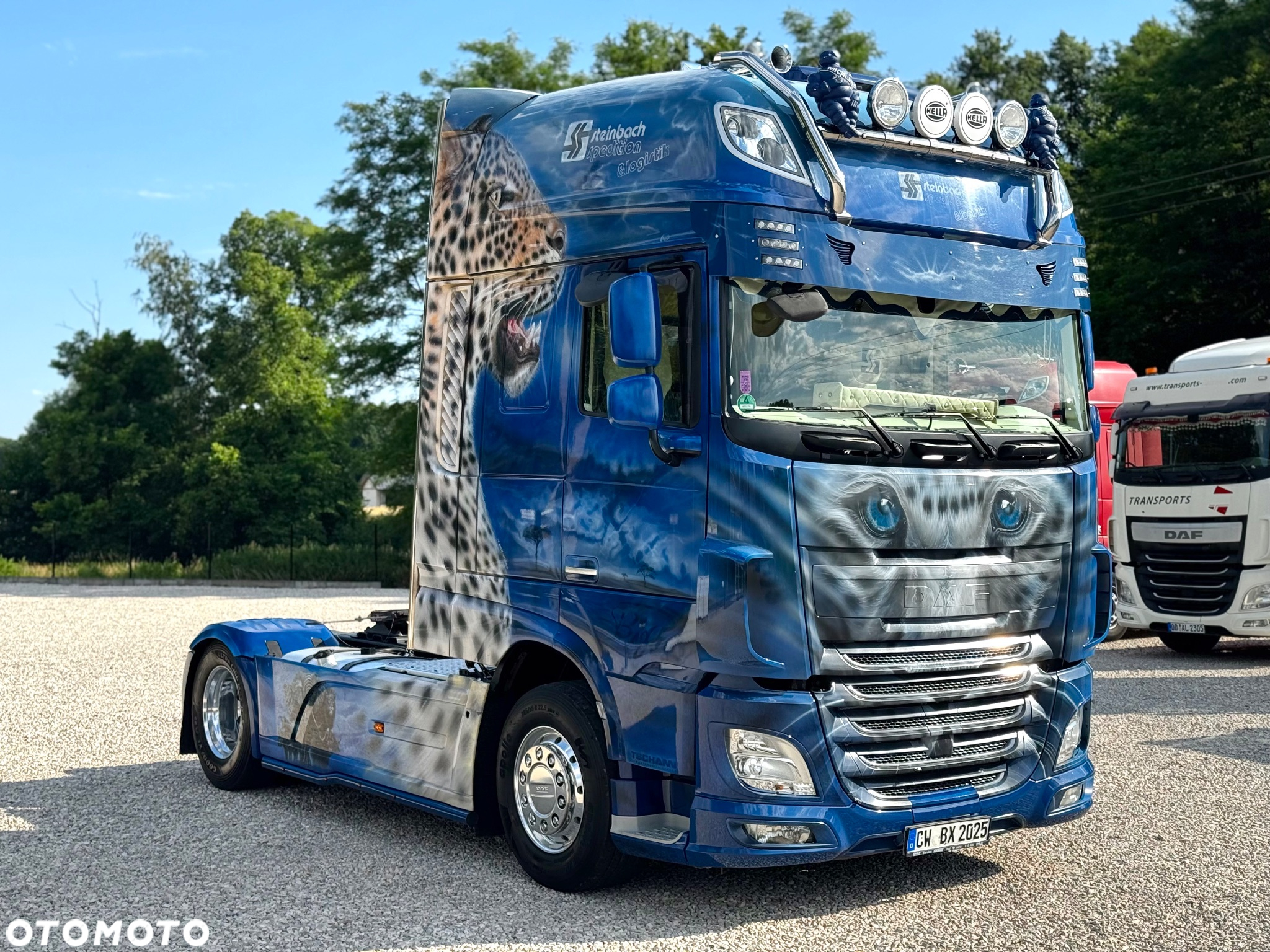 DAF 106XF460/ADR/Z NIEMIEC/FULL - 3