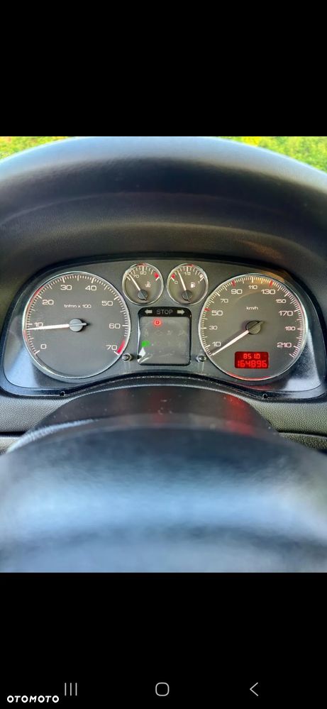 Peugeot 307 1.6 - 12