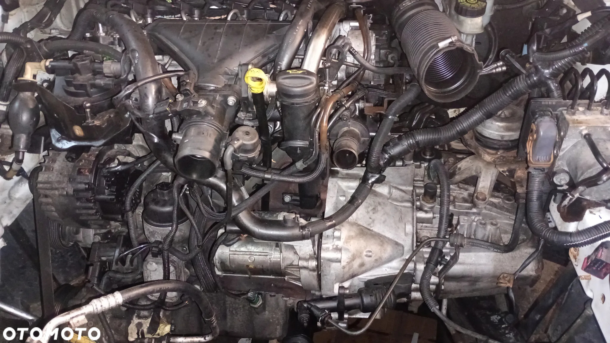F.V Fiat Scudo II Peugeot Expert II Citroen Jumpy II 2007-2016 2.0 HDI SILNIK KOMPLETNY z MONTAŻEM  10DYWU PSARHG NIE KUPUJ W CIEMNO - SPRAWDŹ! - 2