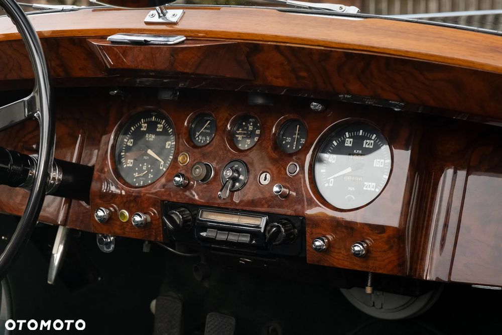 Jaguar Inny - 24