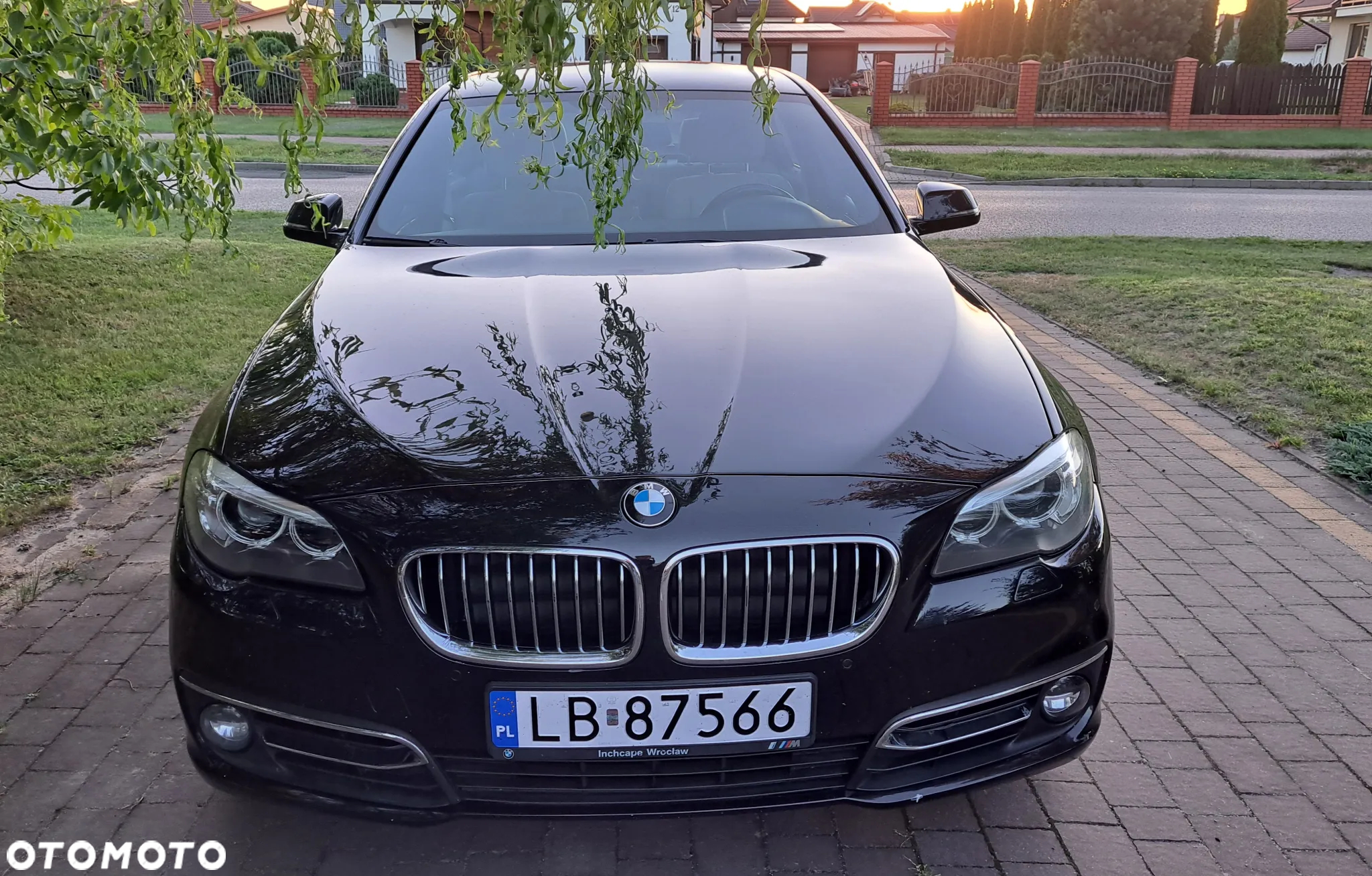 BMW Seria 5 520d xDrive Luxury Line - 2