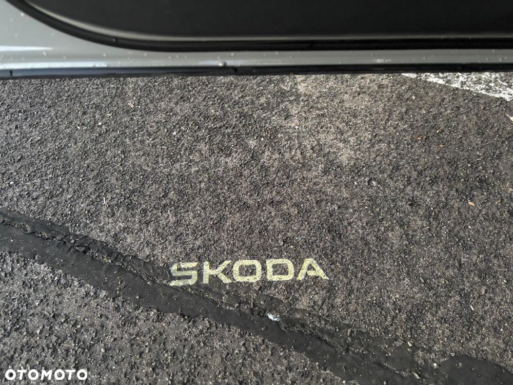 Skoda Karoq - 16