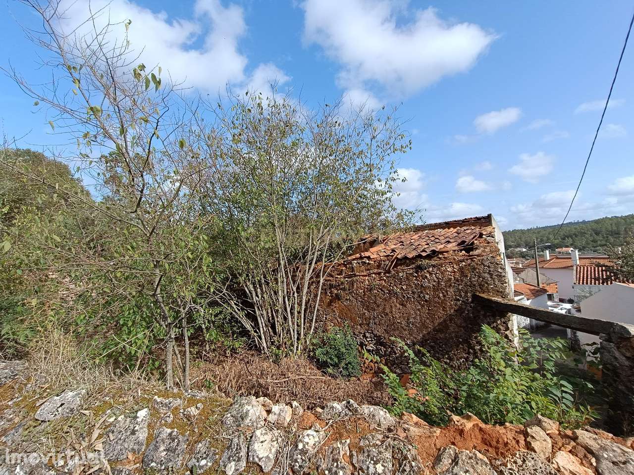 Ruína com Terreno em Pedrogão – Próximo às Grutas de Mira D’Aire - Grande imagem: 5/7