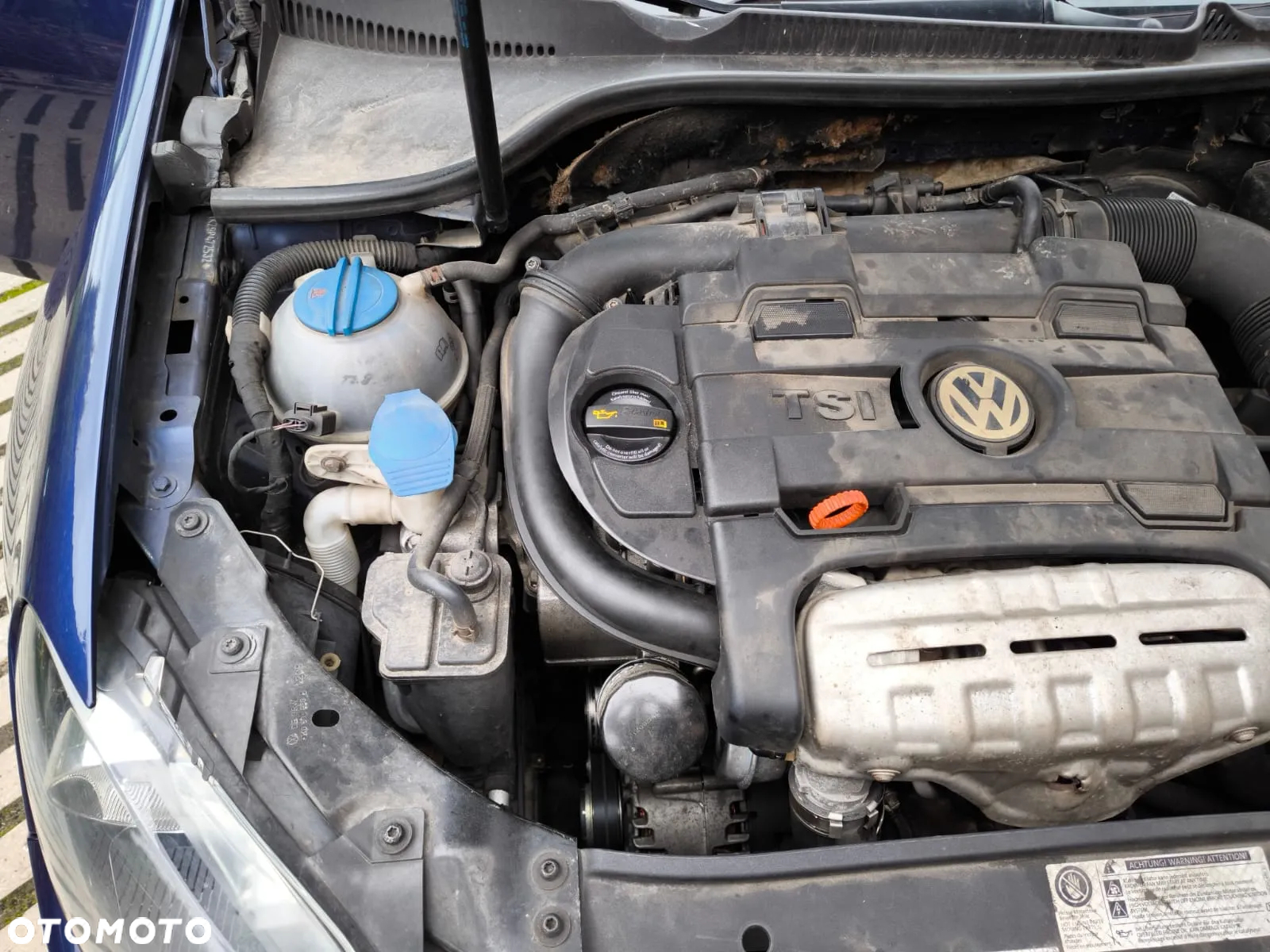 Volkswagen Golf - 5