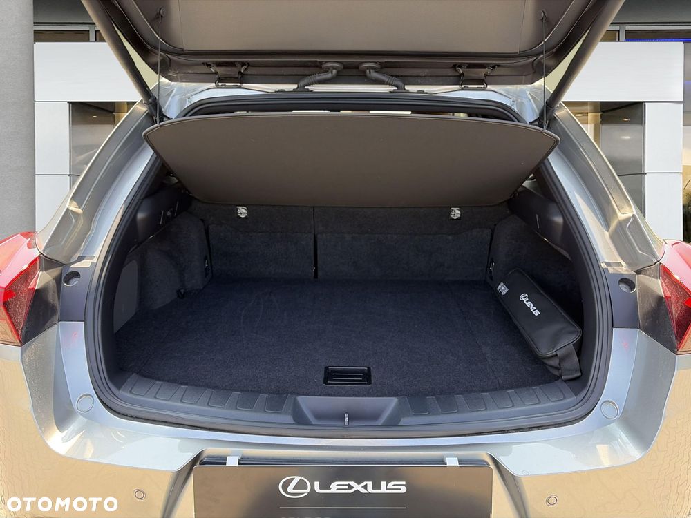 Lexus UX 250h GPF F Sport Design 2WD - 13