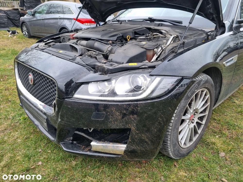 Jaguar XF 2.0 i4D Pure - 8