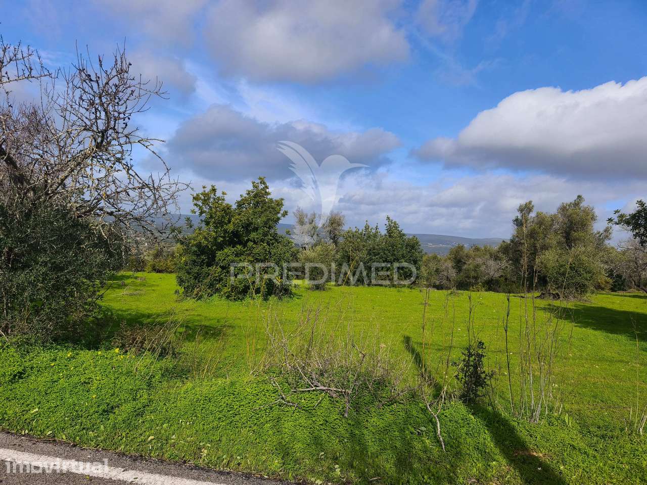 Albufeira- Terreno para construção com 6.440 m² com potencial para... - Grande imagem: 3/5