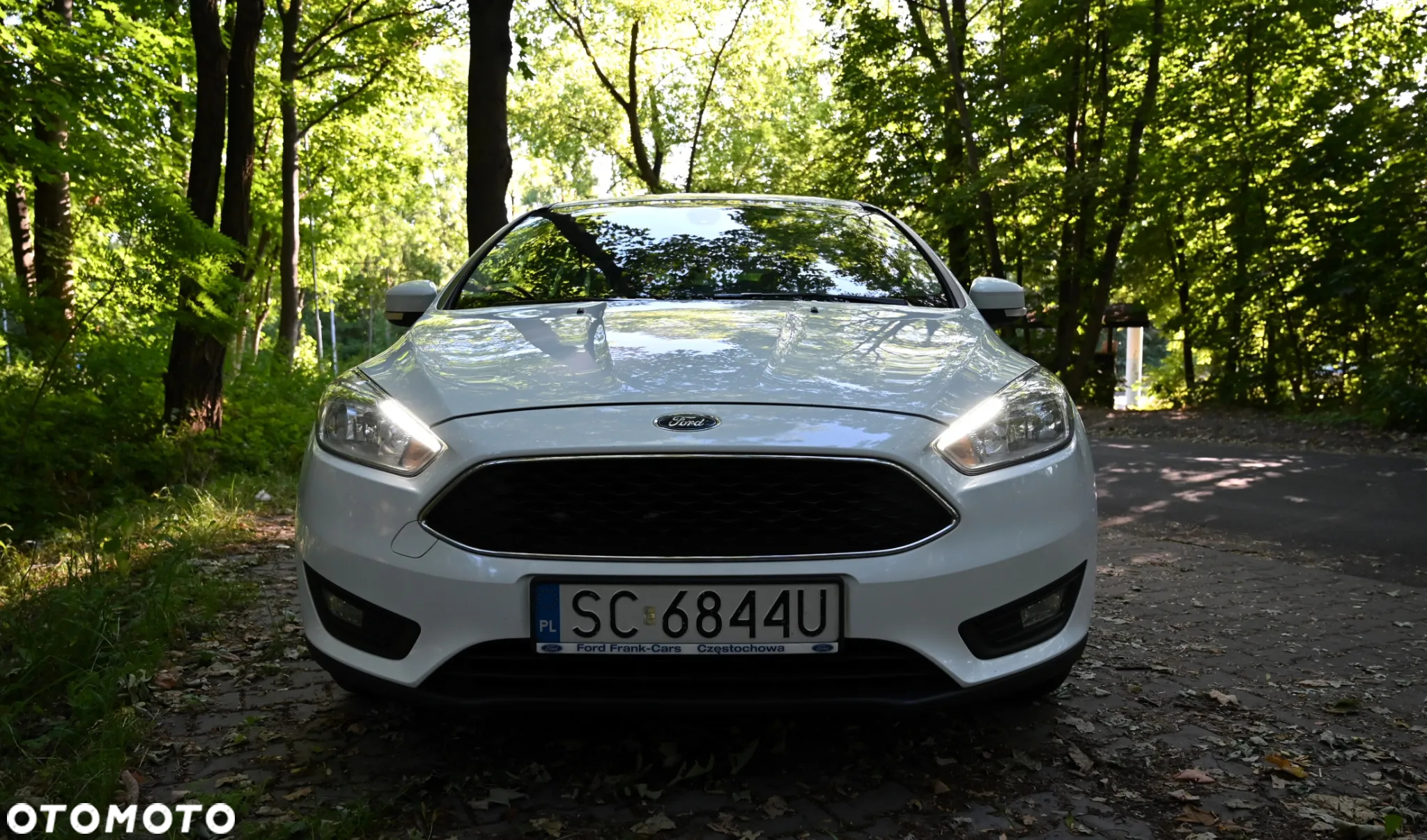 Ford Focus - 5