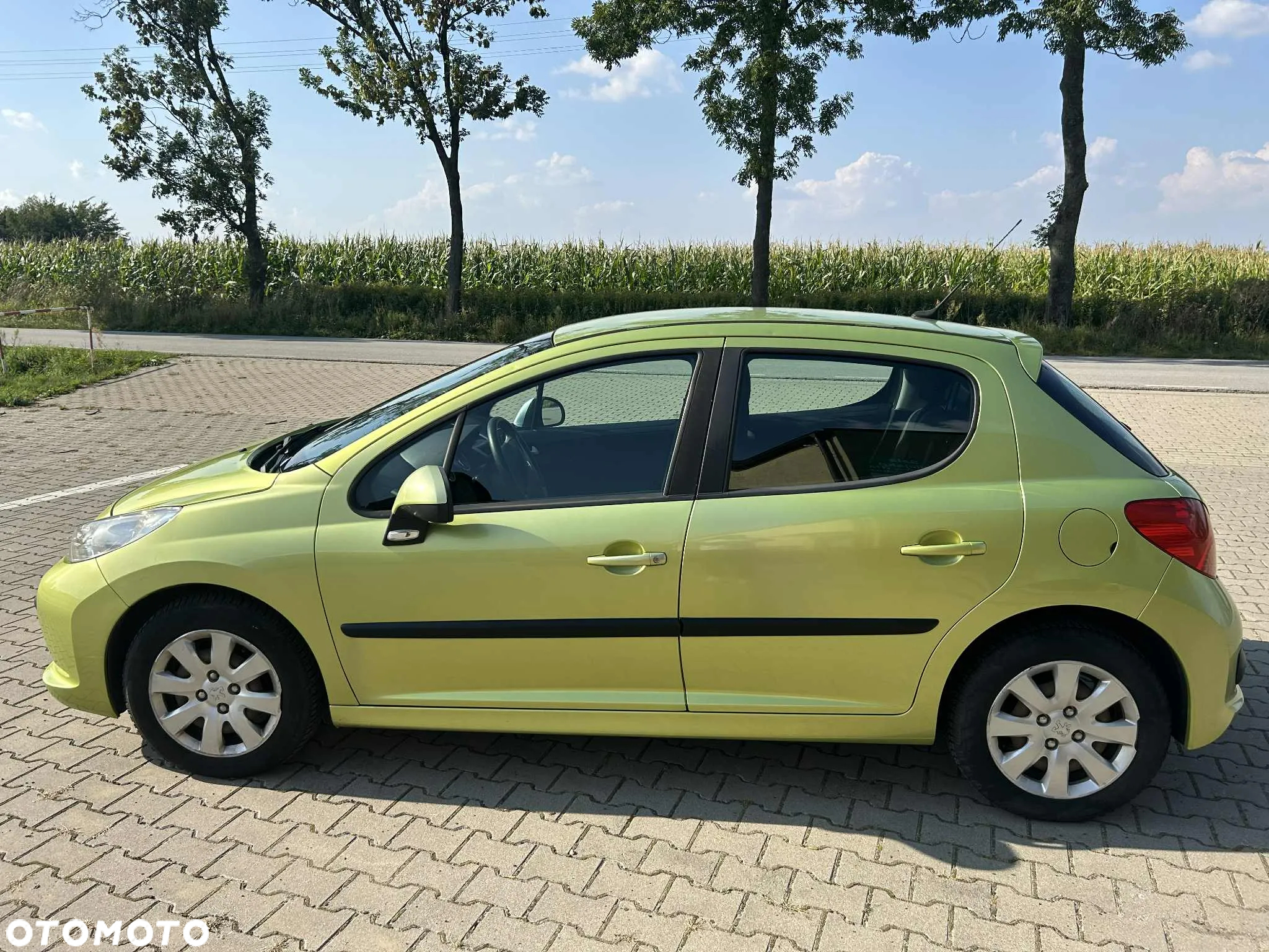 Peugeot 207 - 4