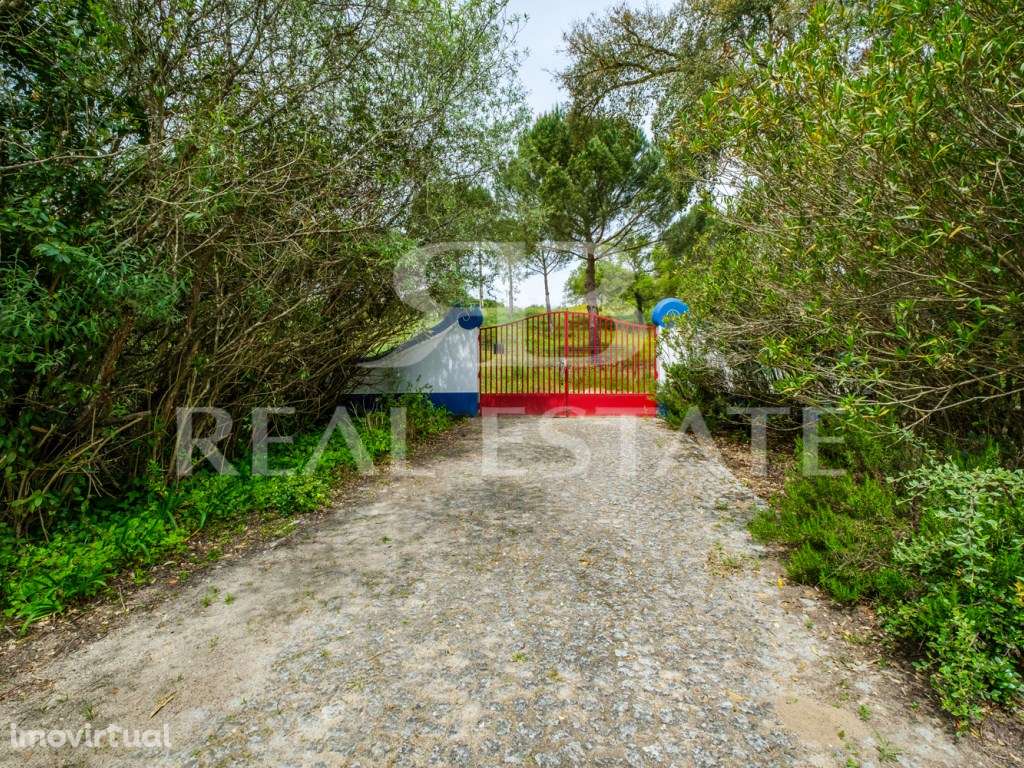 Propriedade no Alentejo | Montemor-o-Novo | A uma hora de Lisboa - Grande imagem: 3/31