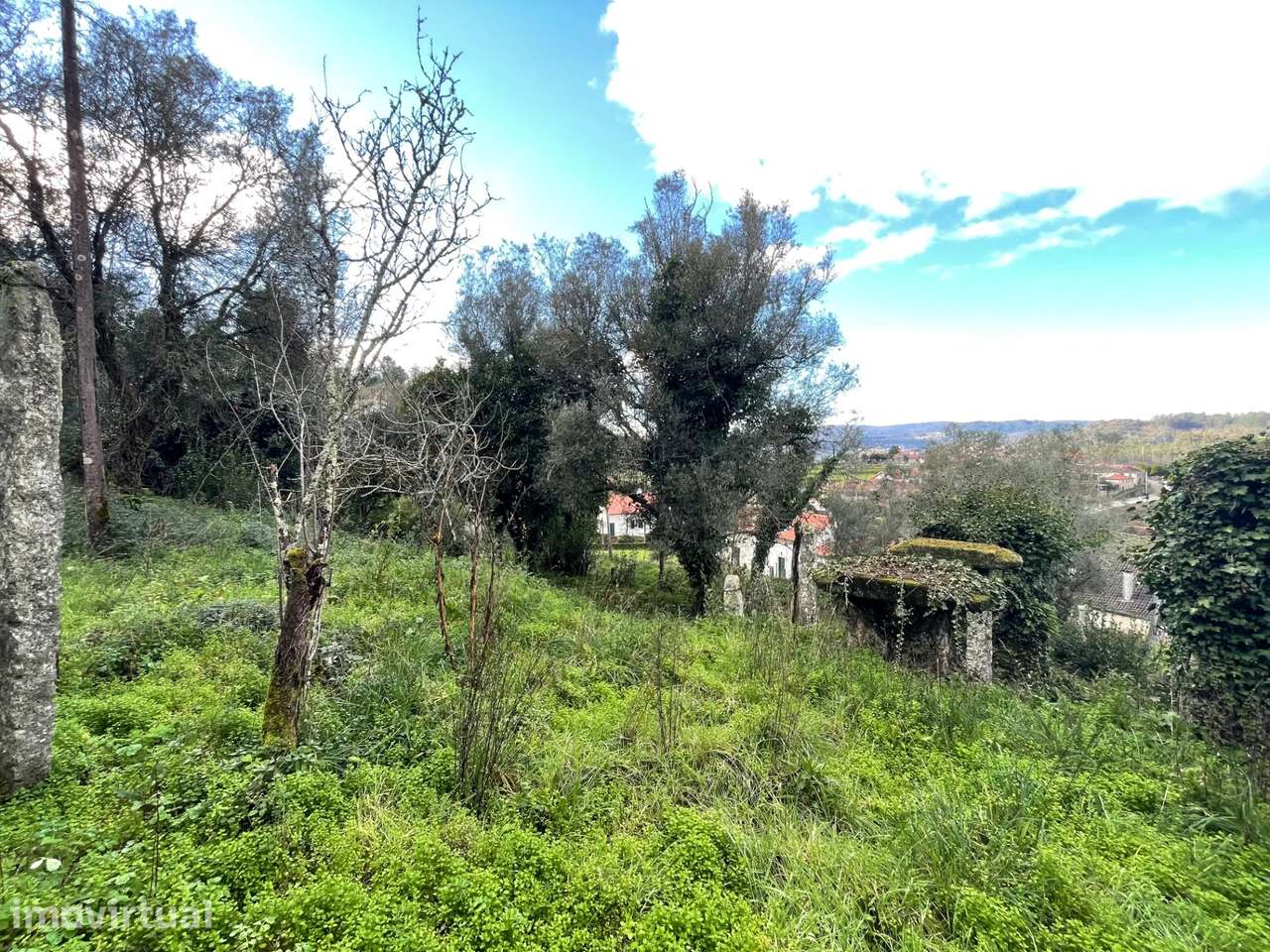 Terreno — Ponte Da Barca - Grande imagem: 4/14