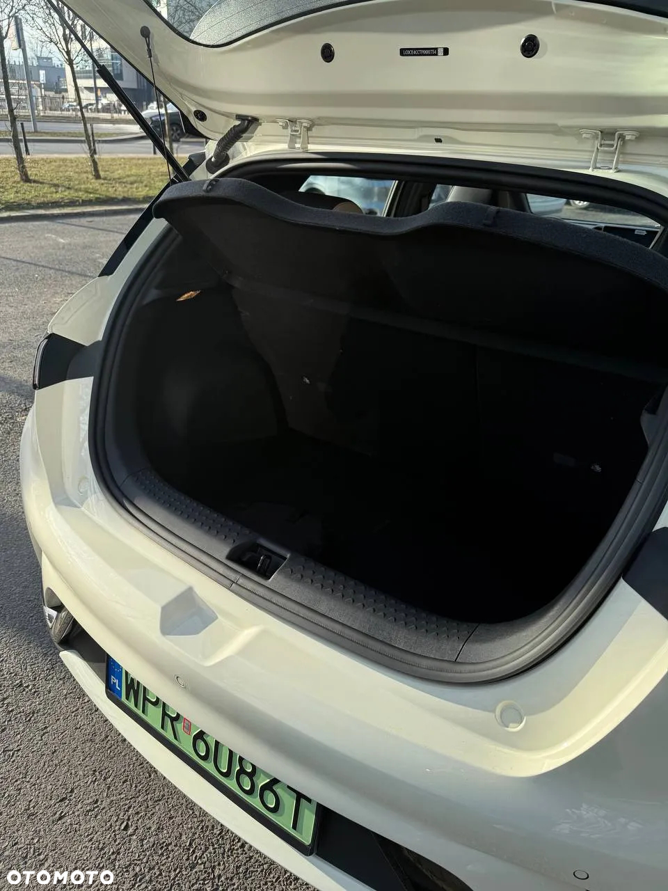BYD Dolphin Active - 8