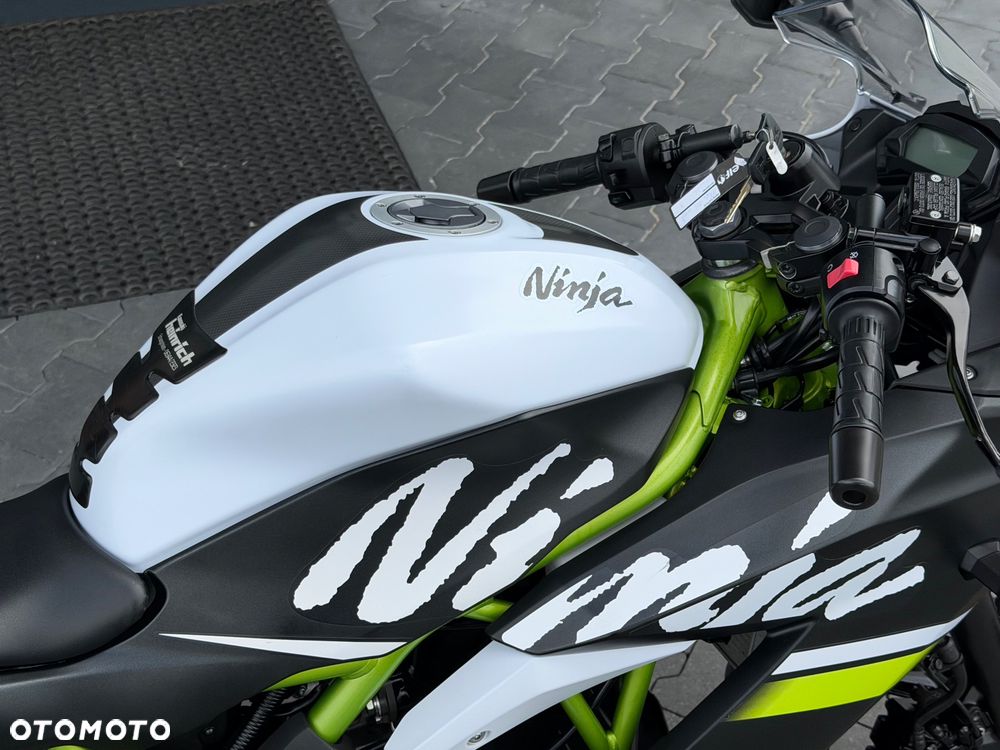 Kawasaki Ninja - 12