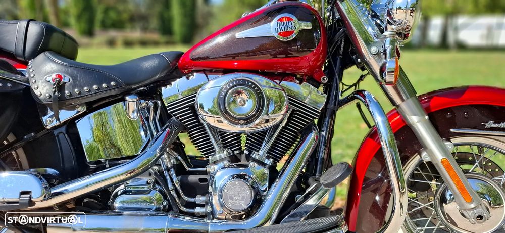 Harley-Davidson FLSTC Softail Heritage - 3