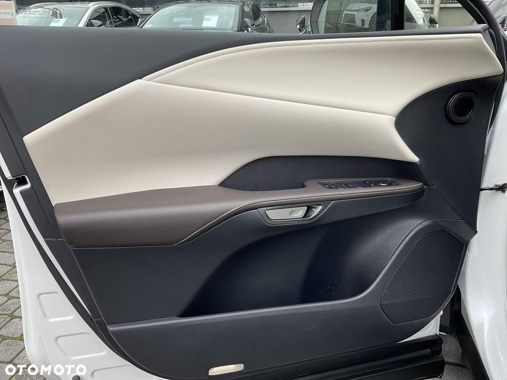 Lexus RX - 29