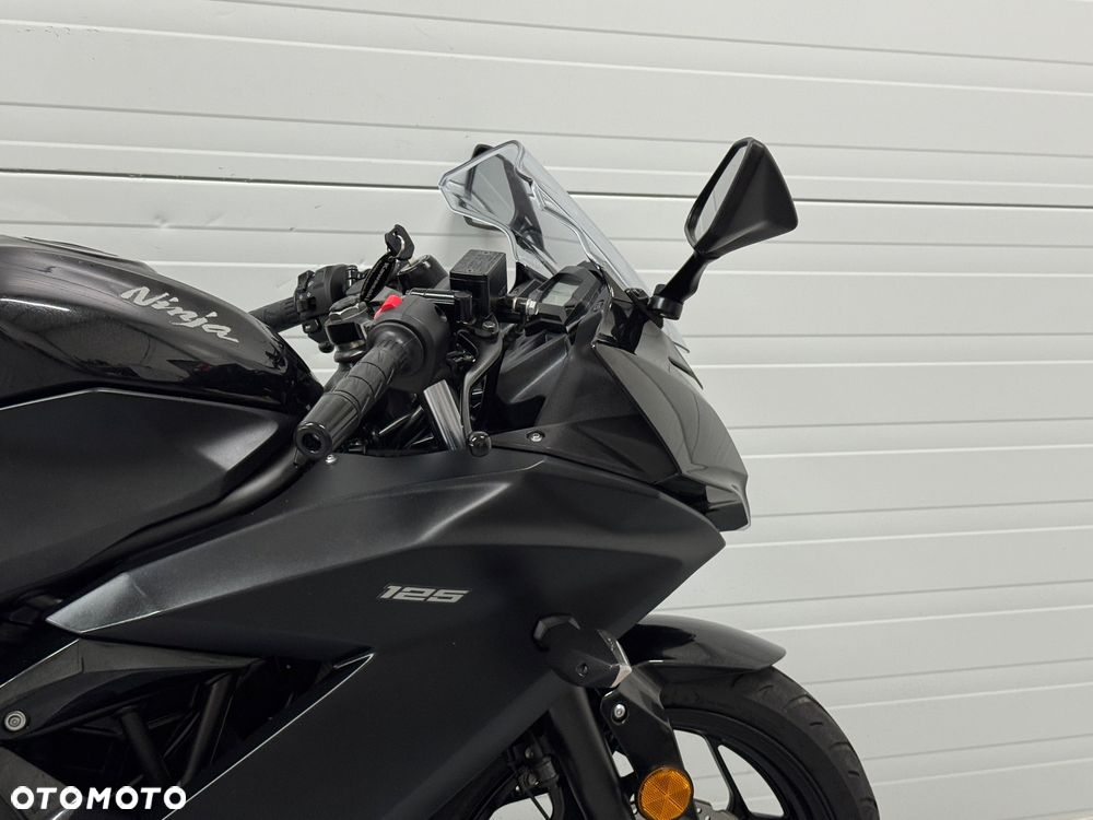 Kawasaki Ninja - 9