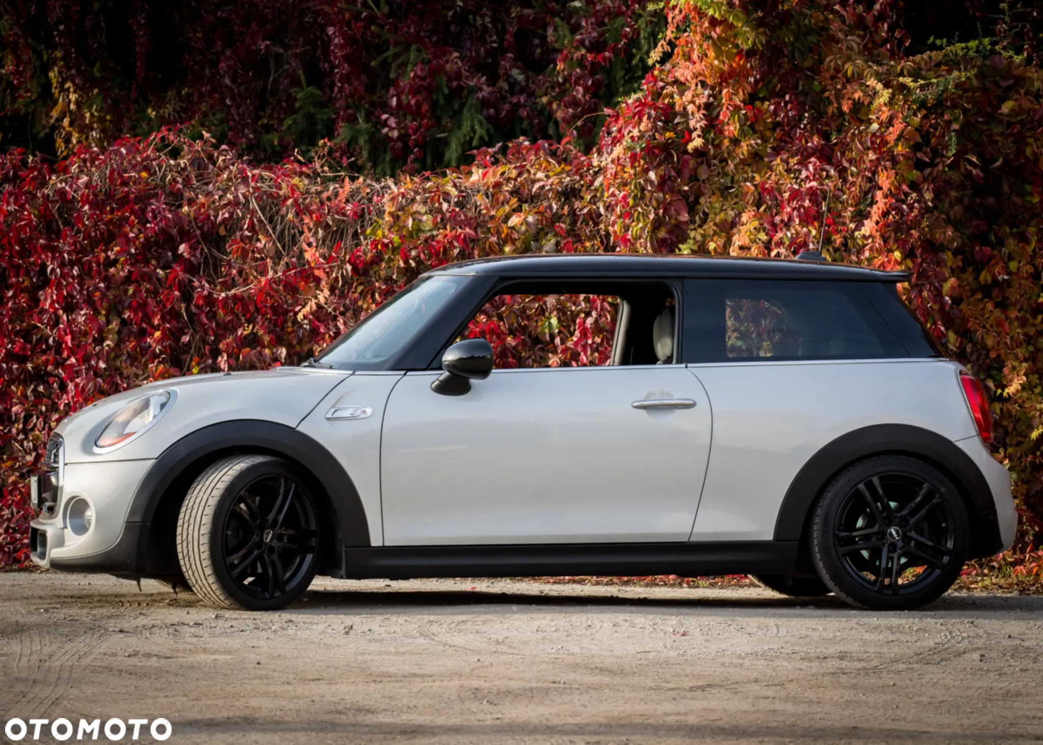MINI Cooper S - 6
